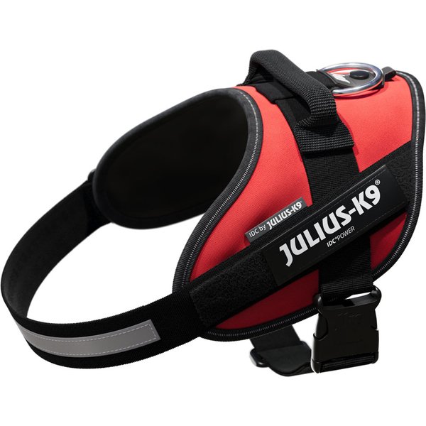 Peitoral JULIUS-K9 IDC® Power vermelho para cães - Tamanho M: contorno peito 58 cm-76 cm