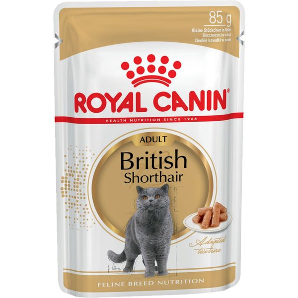 Royal Canin Breed British Shorthair - 24 x 85 g - Pack Ahorro