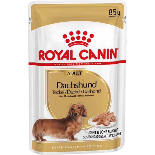 Royal Canin Dachshund mousse em saquetas - 12 x 85 g