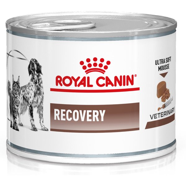 12x195g Feline Recovery Royal Canin Veterinary Diet Kattenvoer