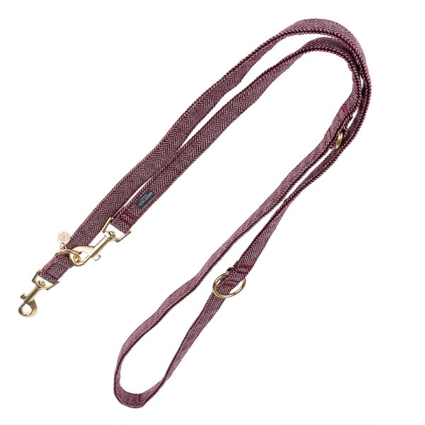 Trela Nomad Tales Calma borgonha para cães - 200 cm comprimento, 20 mm largura - Ajustável