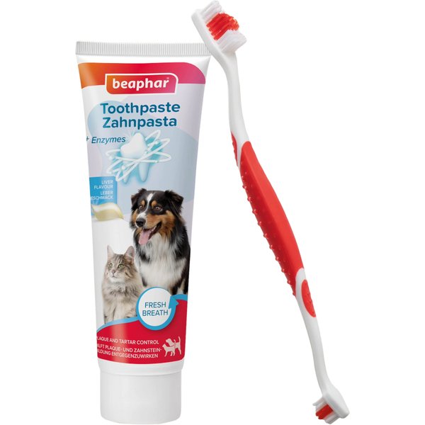 Beaphar Tandenborstelset - Zahnpasta & Bürste (100 g)