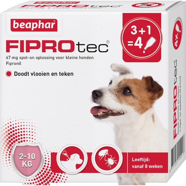 Beaphar FiproTec dog 2-10kg (NL) 4 Pipetten x 0,67 ml (APO)