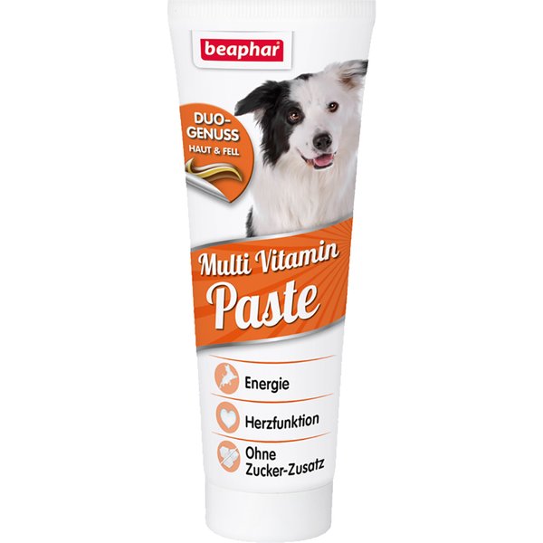 250g Multi Vitamine Pasta met Biotine Beaphar Hondensnack