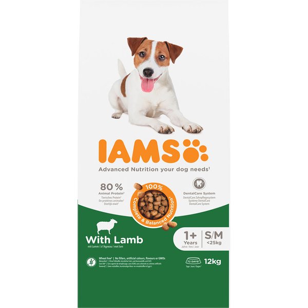 IAMS Advanced Nutrition 12 kg pienso para perros en oferta: 10 + 2 ¡gratis! - Adult Small & Medium Dog con cordero