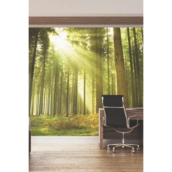 Origin Murals Spruce Forest Wall Mural in Emerald | Size: W300 cm x H240 cm