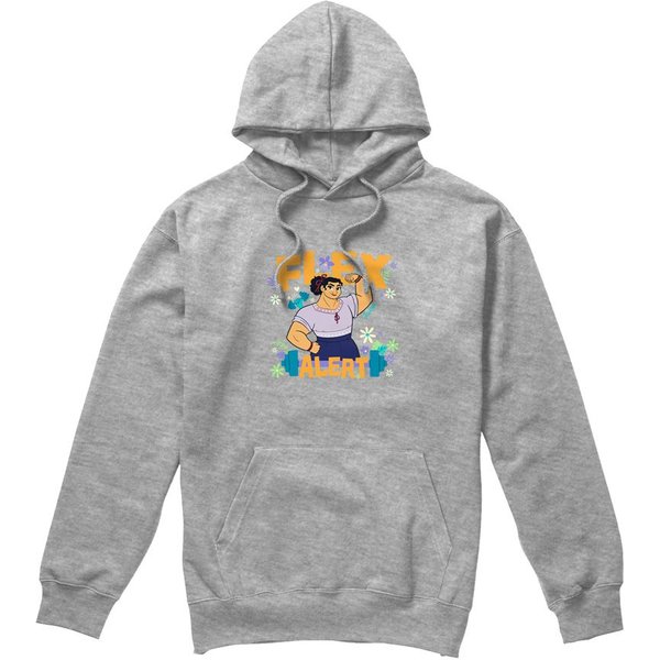 Encanto Flex Alert Hoodie Light Grey | Size: Medium