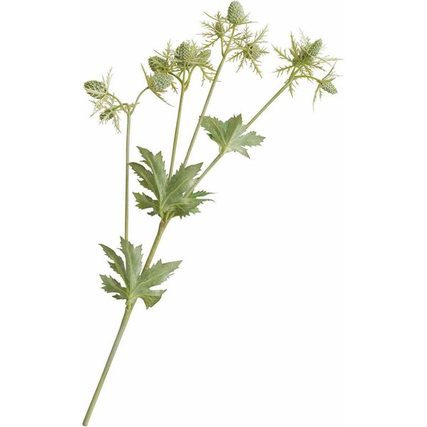 Bloom Artificial Single Green Sea Holly Stem - Faux Fake Silk Flower Indoor Home Floral Decoration - Measures L55cm