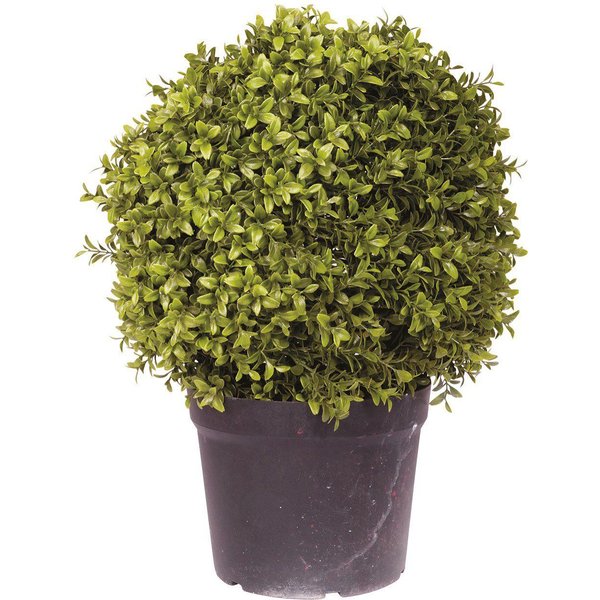 Bloom Artificial Large Boxwood Ball Topiary in Nursery Pot - Faux Fake Realistic Green Plant - Measures H50cm x 40cm Diameter | Size: 50 cm x 40 cm