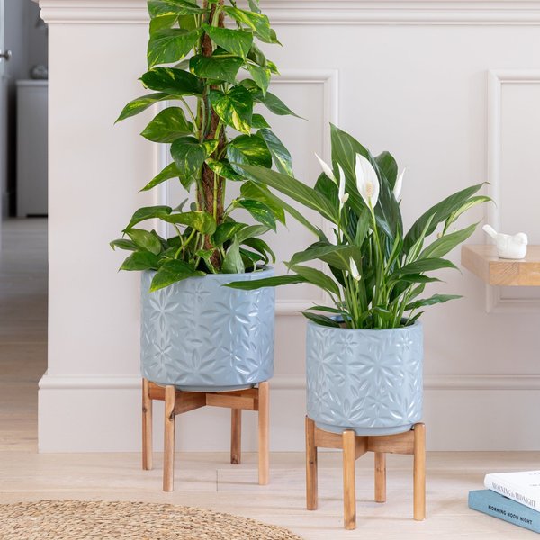 Ivyline Aspen Flower Dusty Blue Planter H34cm D22cm | Ceramic | On trend design