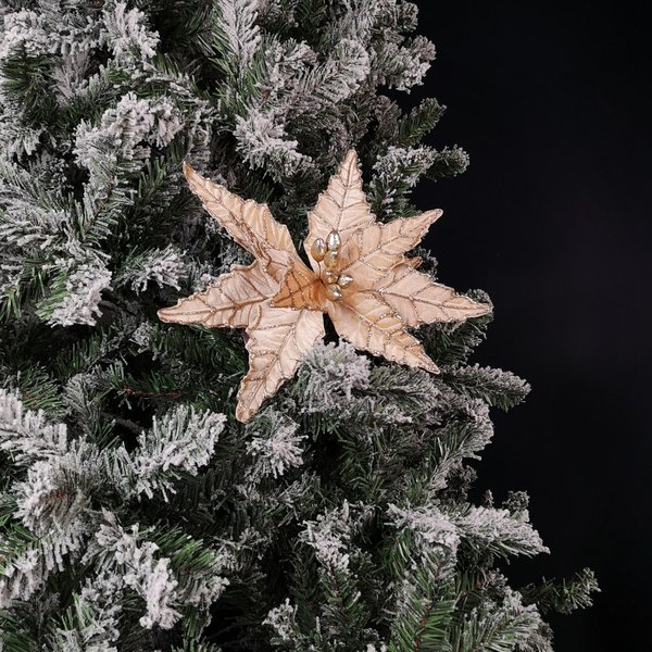 Samuel Alexander 50cm Champagne Velvet Poinsettia Stem with Glitter Christmas