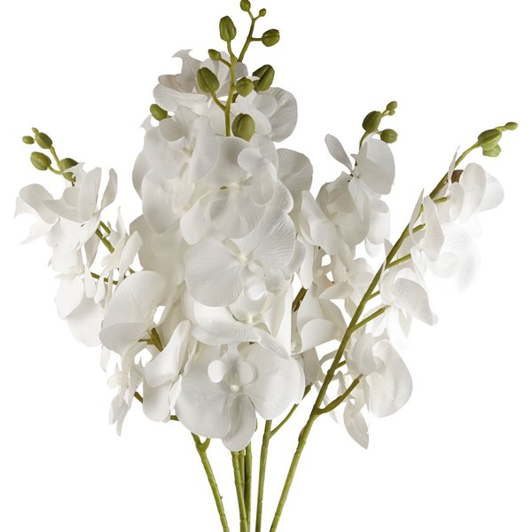 Leaf Pack of 6 x 100cm Artificial Phalaenopsis Orchid White Stem, White