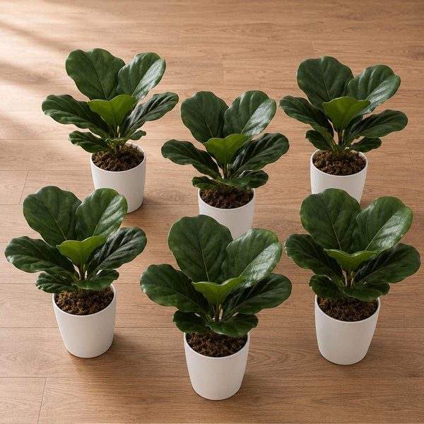 Leaf Pack of 6 Artificial Fiddle Fig Plants, 38cm Green