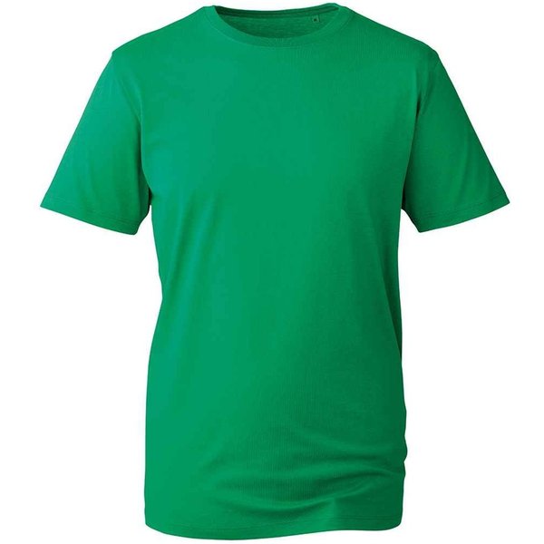 Anthem Men's Plain Dark Grey T-Shirt in Pale Green | Size: 2XL