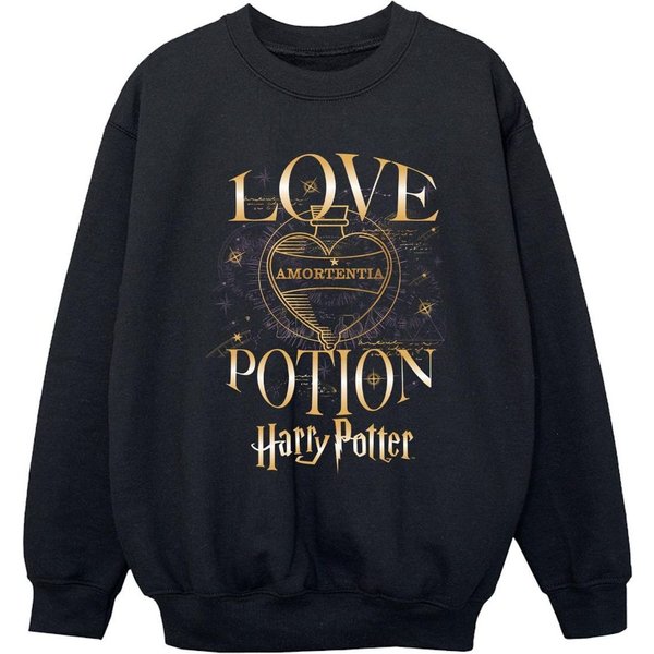 Harry Potter Boy's Love Potion Sweatshirt in Black | Size: 12-13 Years