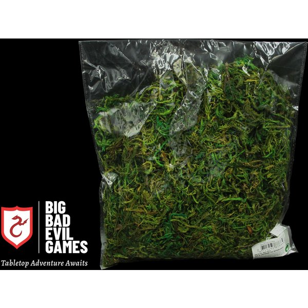 Real Natural Dried Green Moss Lichen | 60g Large Bag - perfect follage for miniature terrain crafting and base decoration