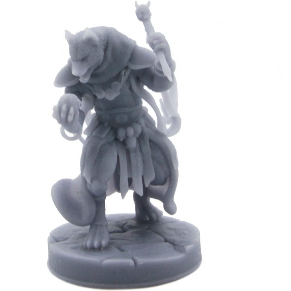 Khenra Dogfolk Sorcerer | D&D or Pathfinder Scale Miniature