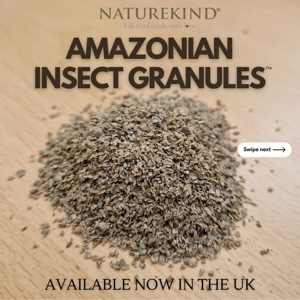 Amazonian Insect Granules 75g (Fish Food) (3+ mm Granule Size)