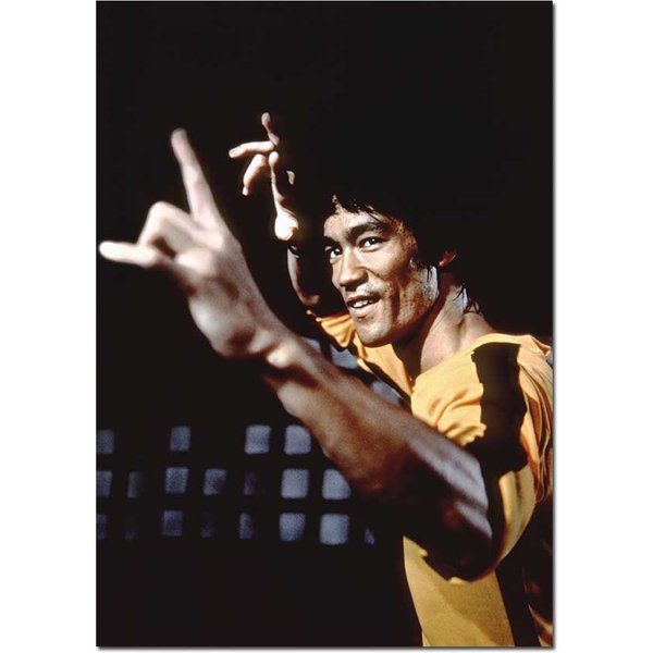Bruce Lee "Game of Death" Movie Poster | Official Art Print A3 A4