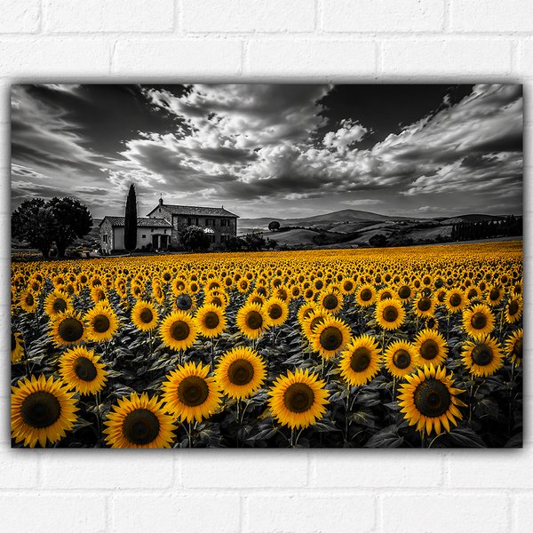 Sunflower Field Poster A3 – Countryside Wall Art Print – Black & White Landscape with Yellow Sunflowers