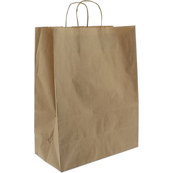 Brown Kraft Paper Bag with Paper Twist Handles 16"x22"x18"