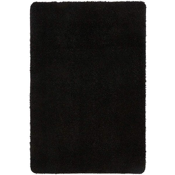 Buddy Washable & Stain Resistant Rug Black - Buddy - Size: 60X100