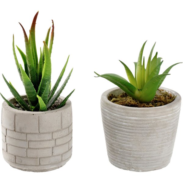Set de plantes artificielles Afia; 6.5x14 cm (ØxH); gris/vert