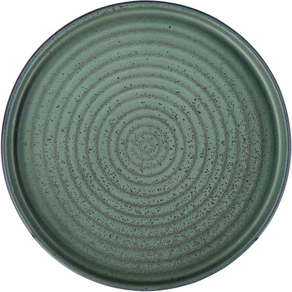 4x VEGA Assiette Snug avec bord bas; 20.5x2.5 cm (ØxH); vert; rond(e); 4 pièce(s) / Lot