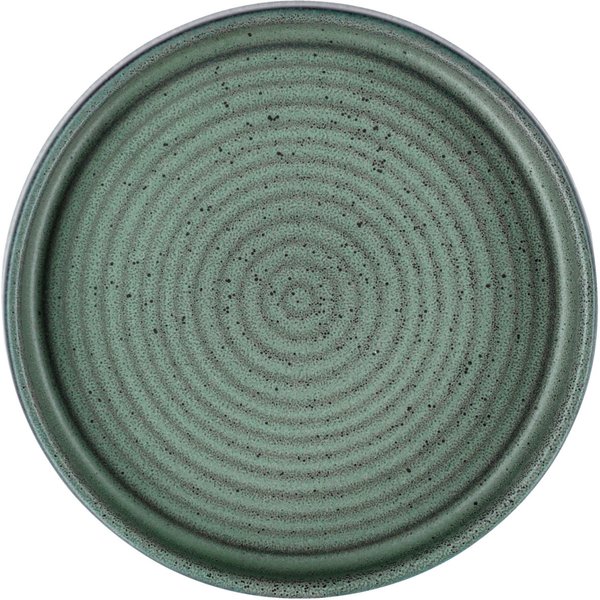 4x VEGA Assiette Snug avec bord bas; 13.5x2 cm (ØxH); vert; rond(e); 4 pièce(s) / Lot