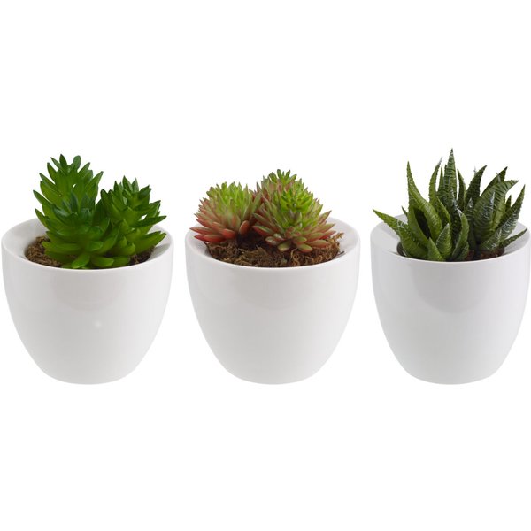 Succulente artificielle Kisha 3 pièces; 9x13 cm (ØxH); blanc