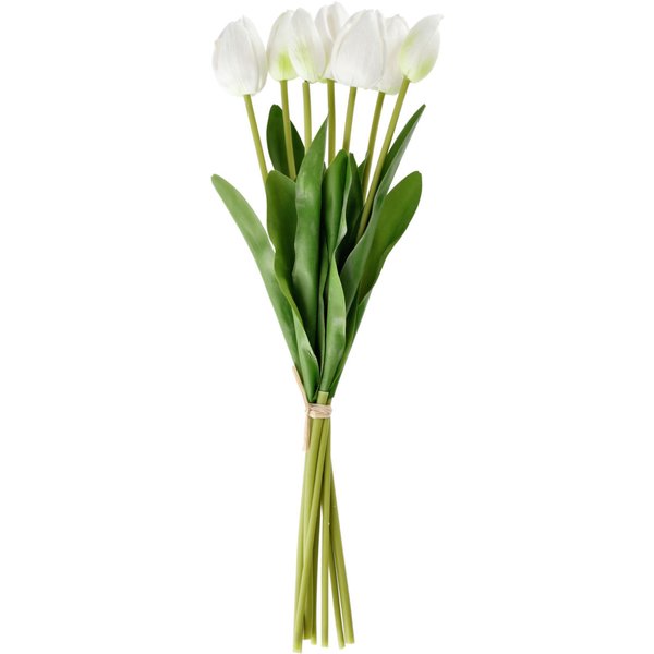 Mazzo di tulipani Talea; 48 cm (L); bianco