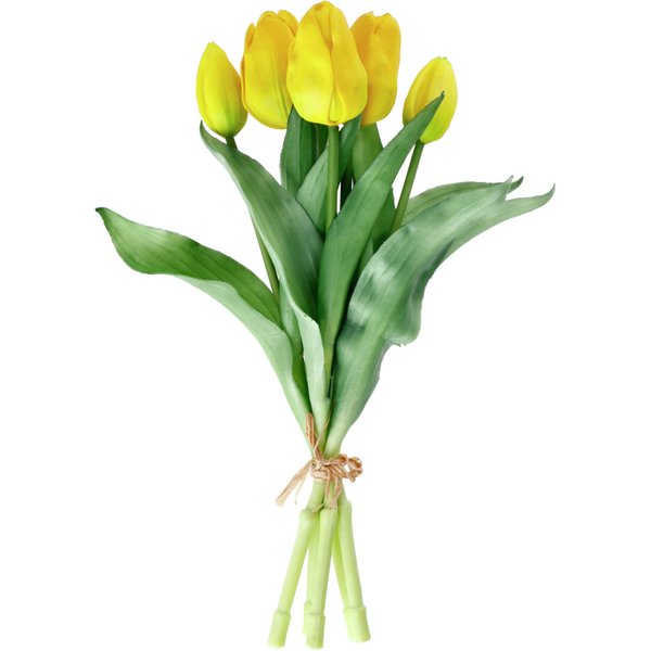 Mazzo di tulipani Tialda; 28 cm (L); giallo