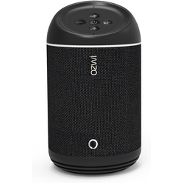 Echo Smart Speaker with Alexa and Google Home Compatibility