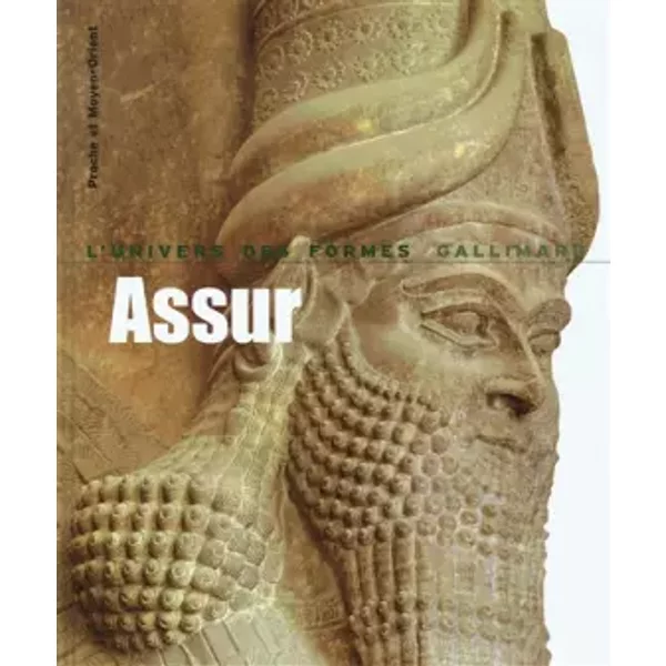 Proche et Moyen-Orient : Assur