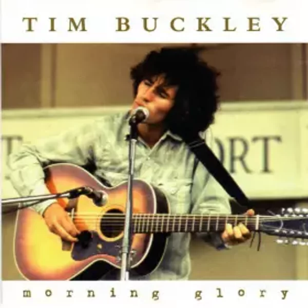 Morning Glory - Tim Buckley