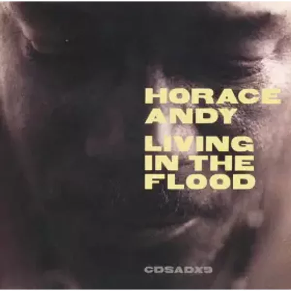 Living In The Flood - Horace Andy
