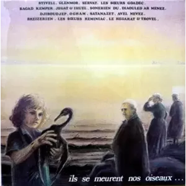 Ils Se Meurent Nos Oiseaux... - Various