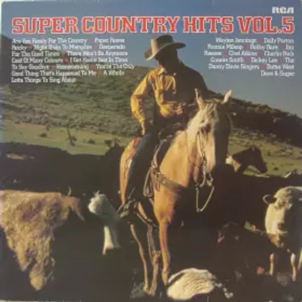Super Country Hits Vol. 5 - Various