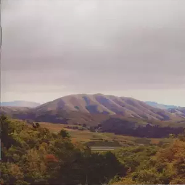 Mount Wittenberg Orca - Björk, Dirty Projectors
