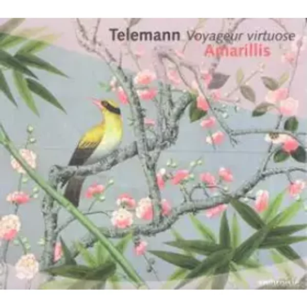 Voyageur Virtuose - Georg Philipp Telemann, Amarillis