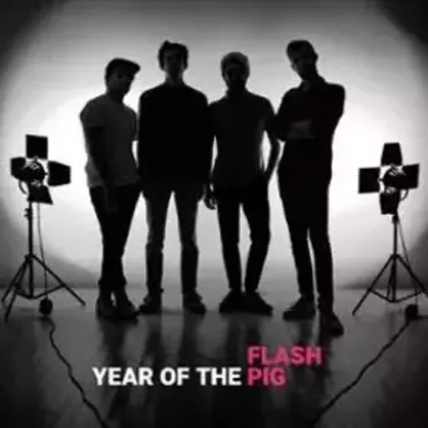 Year Of The Pig - Flash Pig