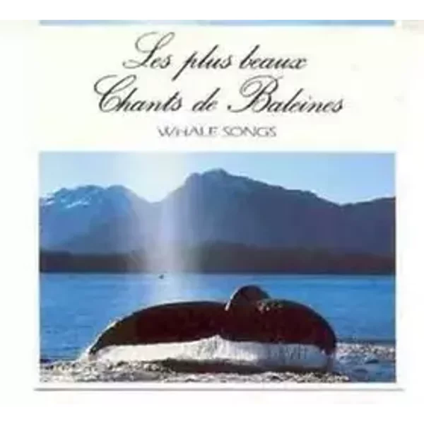 les plus beaux chants de Baleines - whale songs - div whale - wale - Baleines