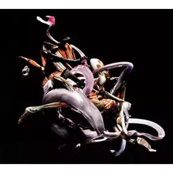 Mykki Blanco Present C-ORE - Various