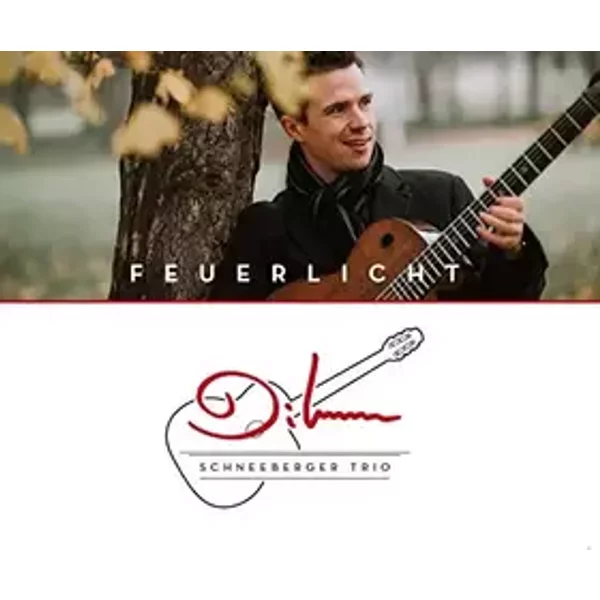Feuerlicht - Diknu Trio Schneeberger