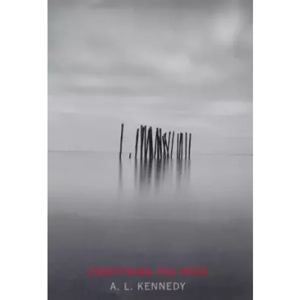 Everything You Need - A. L. Kennedy-image