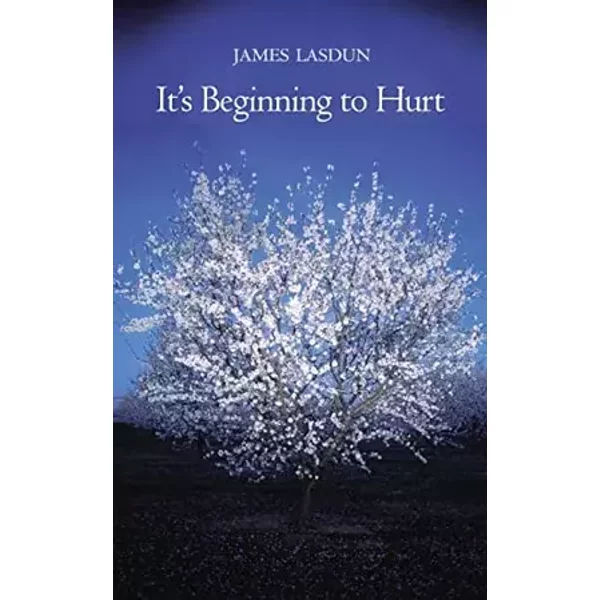 It's Beginning to Hurt - James Lasdun