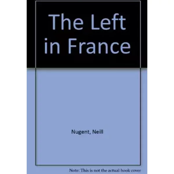 The Left In France - Neill Nugent, David Lowe-image