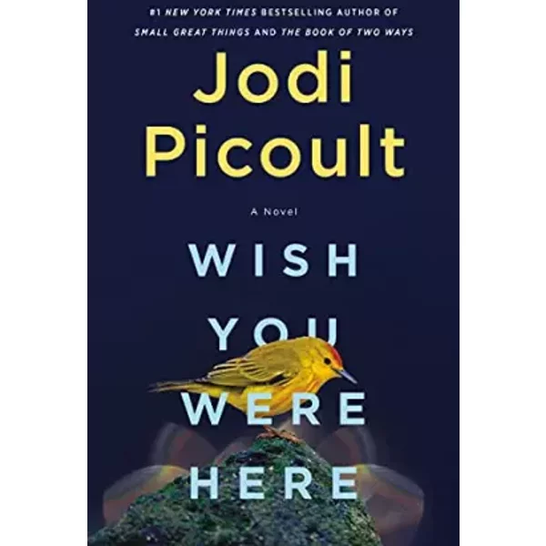 Wish You Were Here: A Novel - Jodi Picoult-image