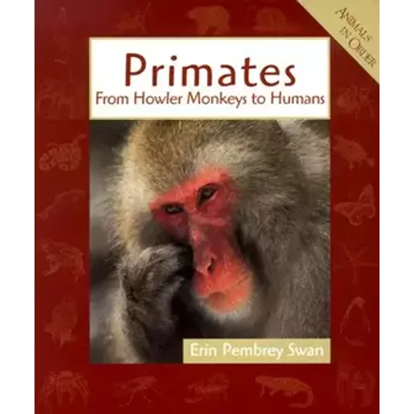 Primates: From Howler Monkeys to Humans (Animals in Order) - Erin Pembrey Swan