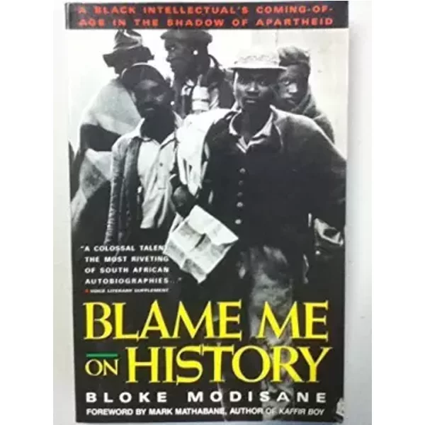 Blame Me on History - Bloke Modisane